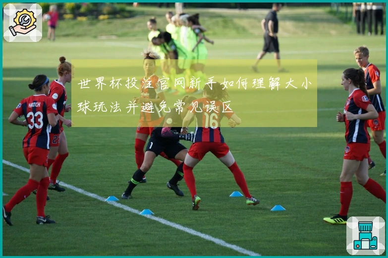 世界杯投注官网新手如何理解大小球玩法并避免常见误区