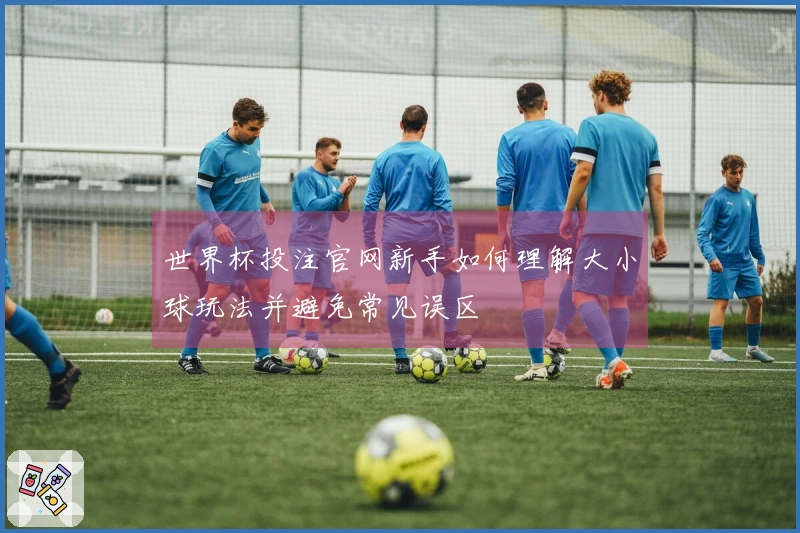 世界杯投注官网新手如何理解大小球玩法并避免常见误区