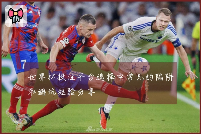 世界杯投注平台选择中常见的陷阱和避坑经验分享