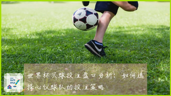 世界杯买球投注盘口分析：如何选择心仪球队的投注策略
